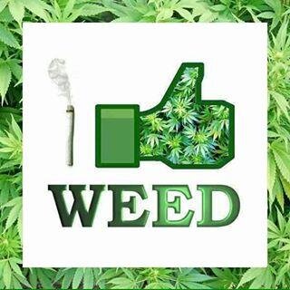 zahidweed's profile picture. 