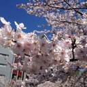 一平 (@05281ppei) Twitter