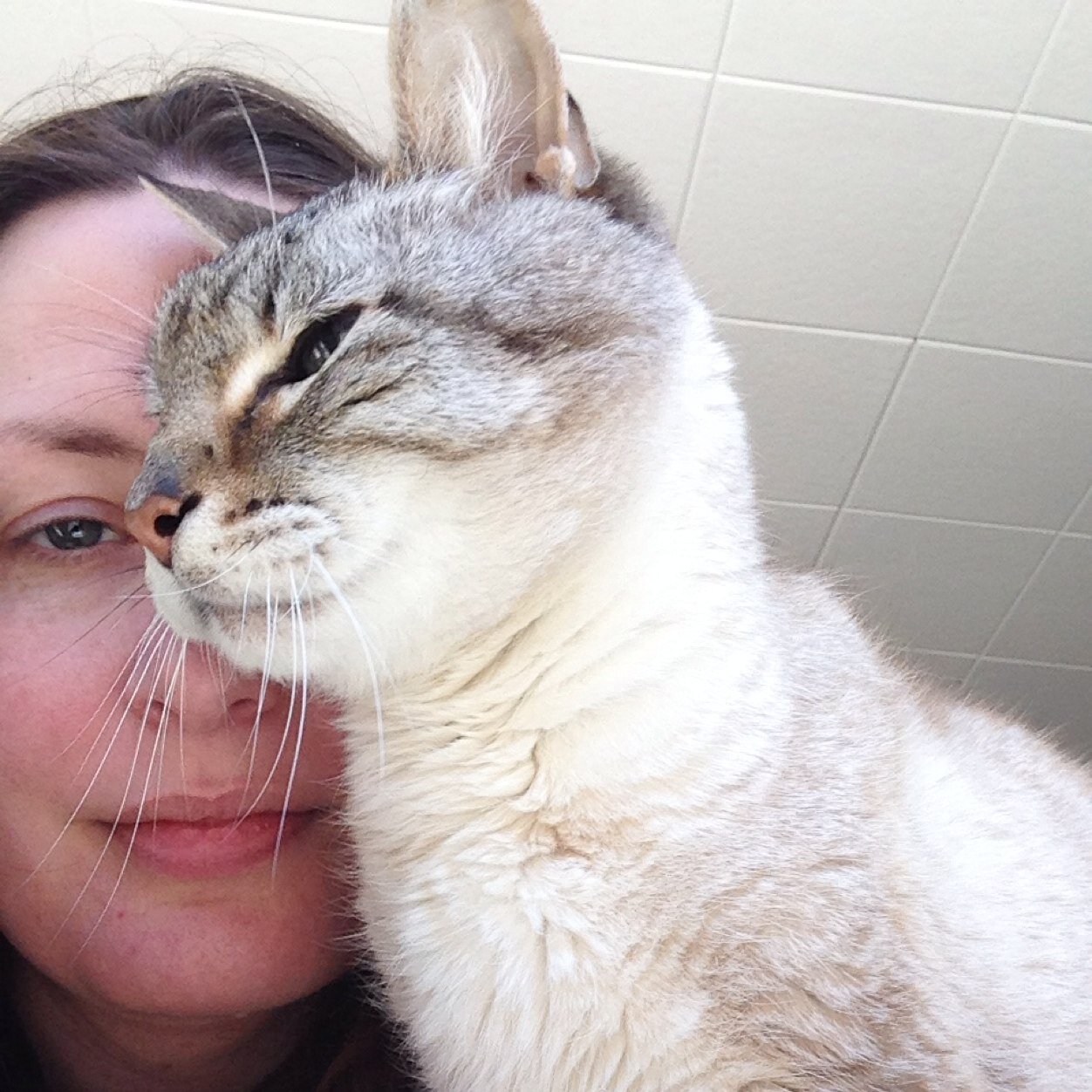 jamisongilman's profile picture. 