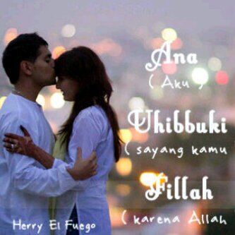 line: ym2416
