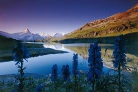 A day without sunshine is like, you know, night. - Steve Martin