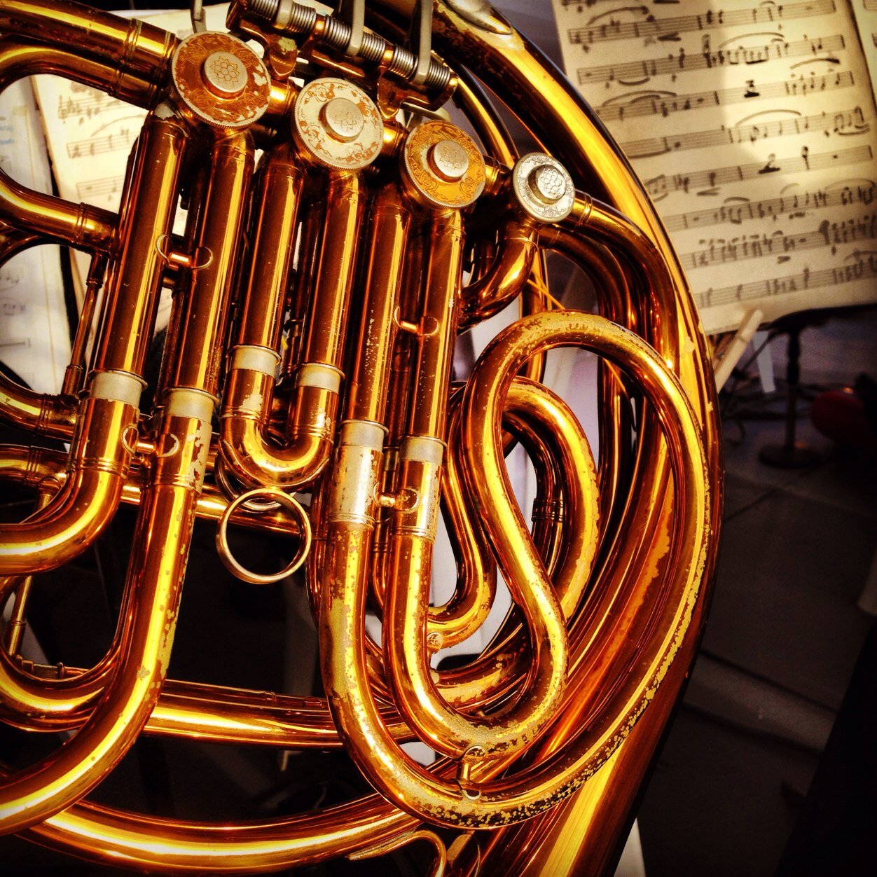 French Horn, Orchestra, Classical Music, Music Teacher, Musician, etc.