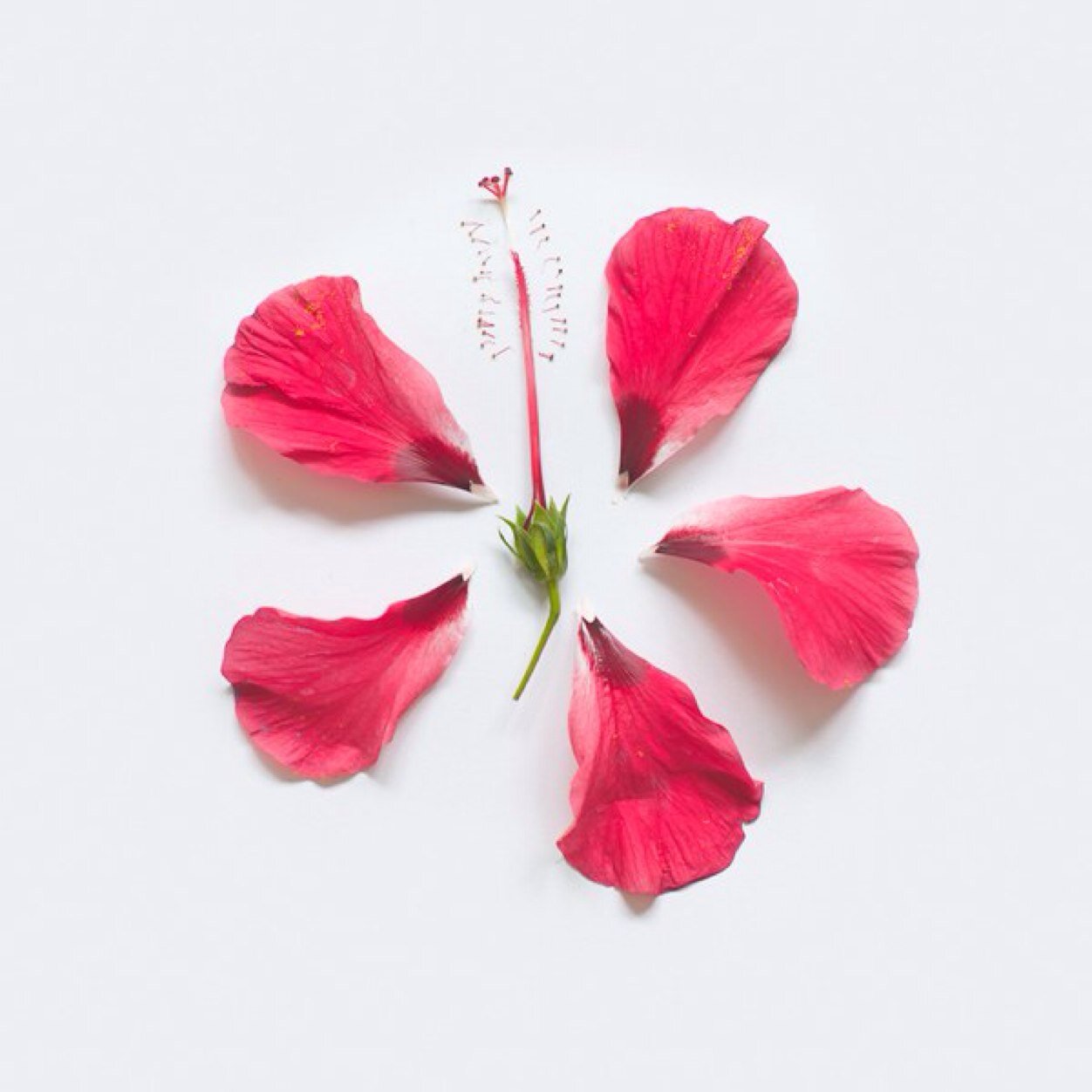 saowaree_69's profile picture. 