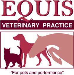 For pets and performance. Offering a comprehensive, professional and personalized service for the treatment of all horses, ponies and donkeys.