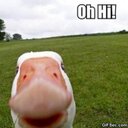 Harriet Chambers - @HarrietChambe12 - Twitter