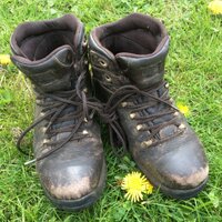 Jane (@oldagerambler) 's Twitter Profile