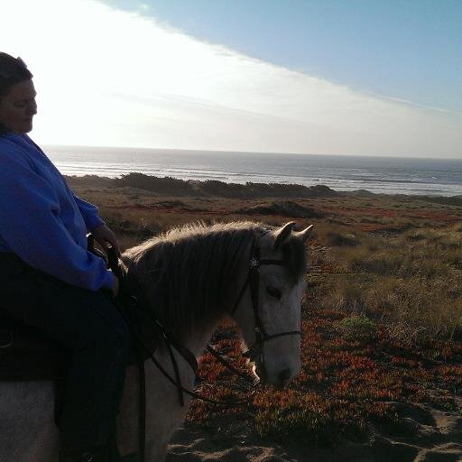 DreamingNyx's profile picture. Damned if you do and damned if you don't. Just be what you want.  Music is the saving grace.