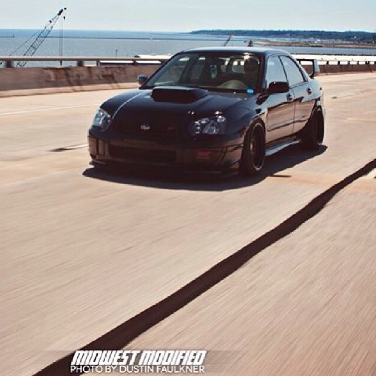 Daily pics of subies and updates!