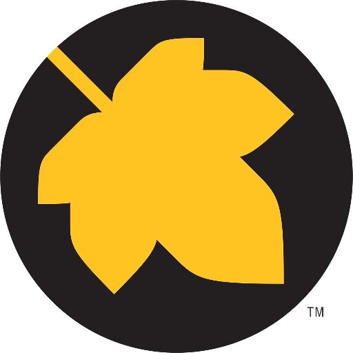 Graphic design and branding