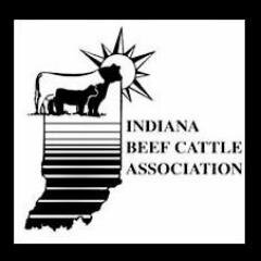 Indiana Beef