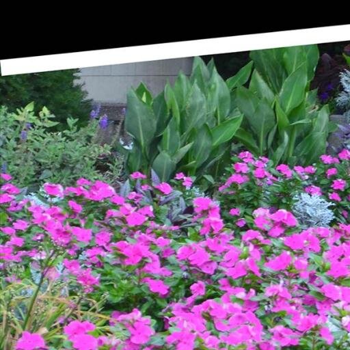 GinaKerrPHR's profile picture. 