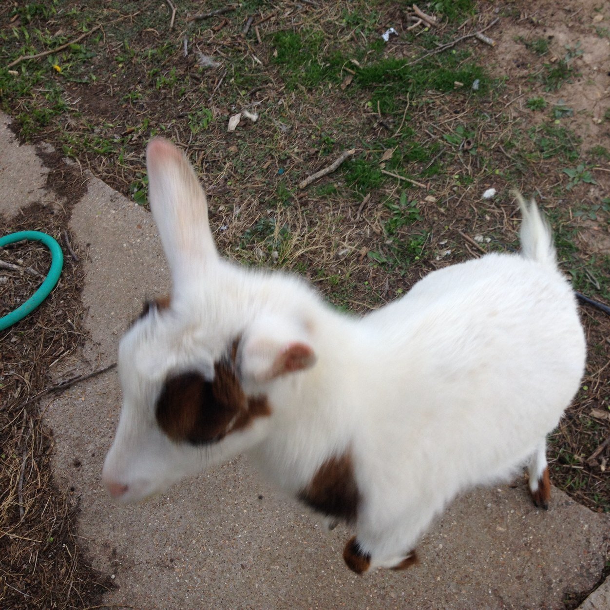 stlnewsfollower's profile picture. JC - Entrepeneur, doer of many things.