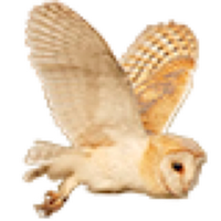 Spirit of Sutterby (@spiritosutterby) 's Twitter Profile Photo Spirit of Sutterby (@spiritosutterby) 's Twitter Profile Photo