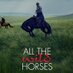 All The Wild Horses (@wildhorsemovie) Twitter profile photo