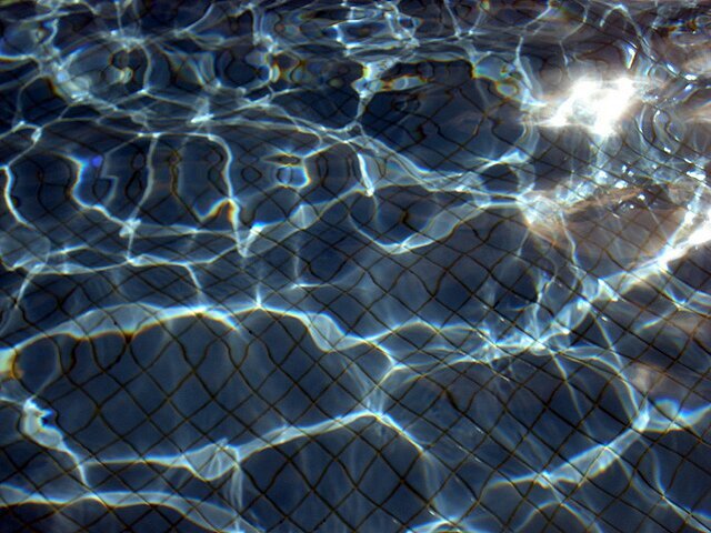 Roro__1199's profile picture. 