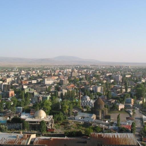 muhammedoul2's profile picture. 