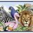 Animals_Agent's profile image