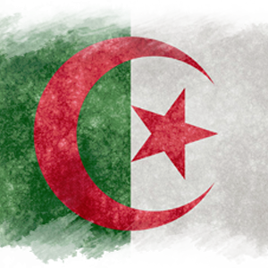 saiselfridge's profile picture. 