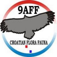 9A Flora Fauna (@9aflorafauna) 's Twitter Profile Photo 9A Flora Fauna (@9aflorafauna) 's Twitter Profile Photo