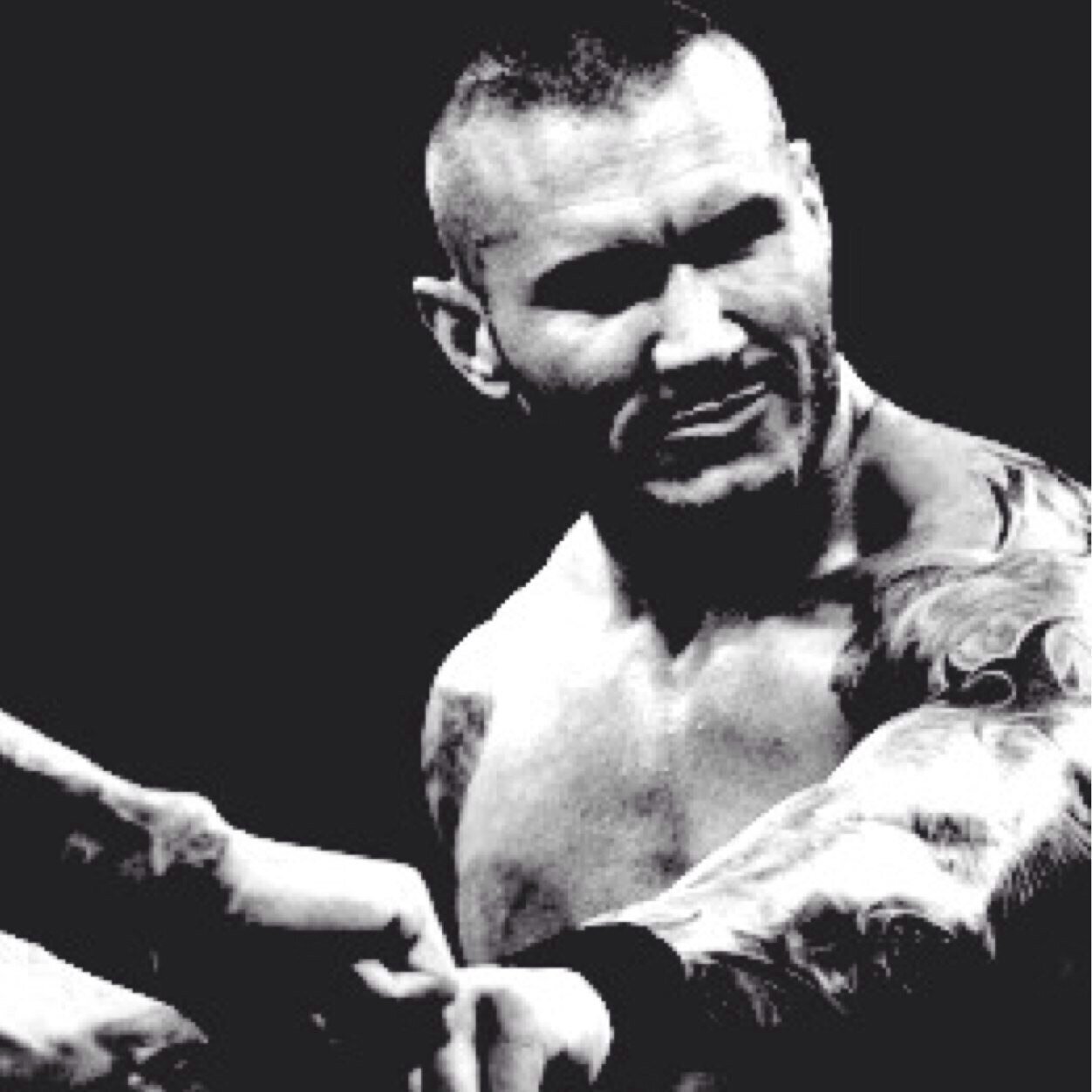 Swarming with voices. I'm the kind of Viper who can strike with a venomous bite. Fomally known as The Apex Predator of the WWE. [NOT @RandyOrton]