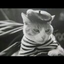 Marcy Smith - @Marcy_Cat_ - Twitter