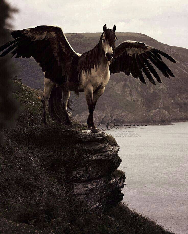 staceyque68's profile picture. Elderly Student