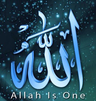 amelmime's profile picture. 