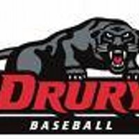 Panther Baseball (@dubaseball) 's Twitter Profile