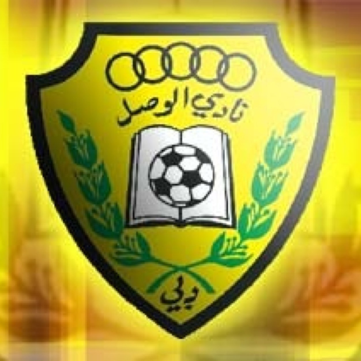 I love football,playstation,xbox,UAE and eating fast food