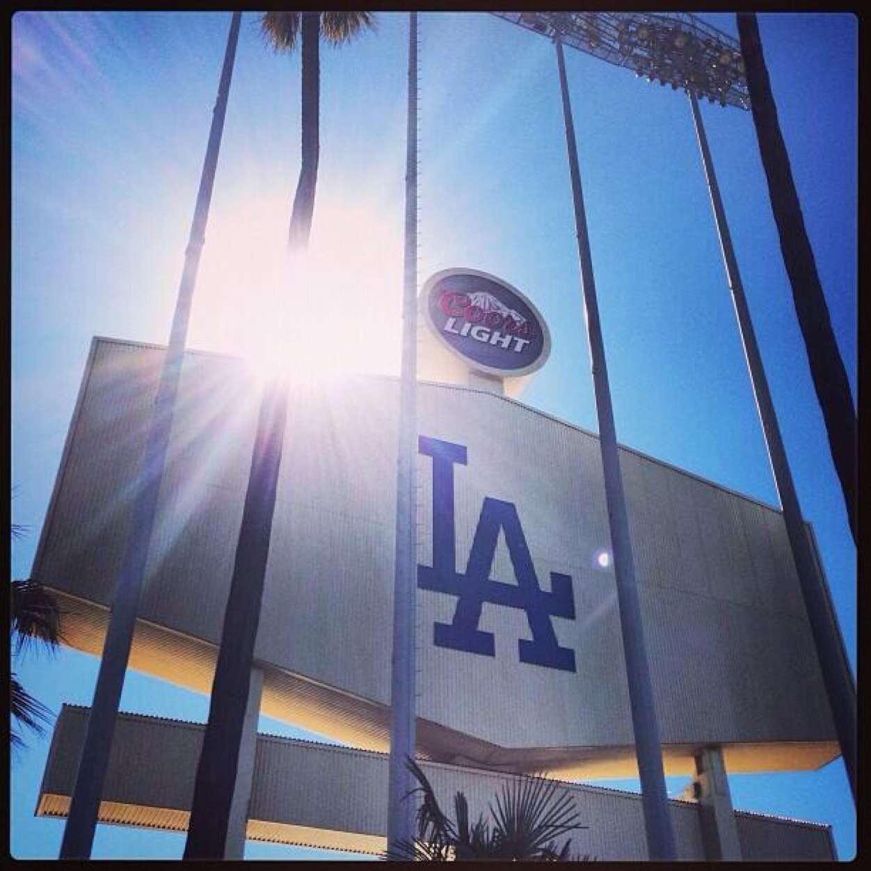 houndy22's profile picture. 