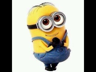 vivalavida_DM's profile picture. 