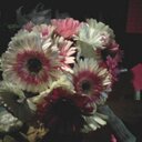 Amy Hatmaker - @b0c0923899814b1 - Twitter