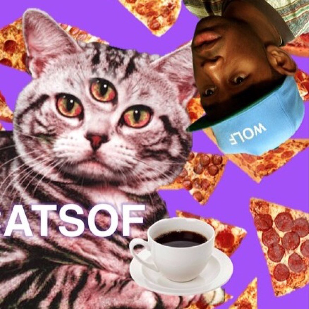 ~ believe in pizza, Tyler the Creator, java, and cats with an odd number of eyes ~ @tylerthecolter @REMYCUNNINGHAM