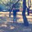 enrique_ordo's profile image