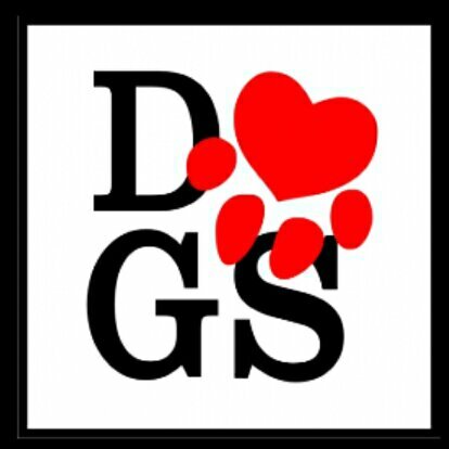 For Dogs around the world ♥