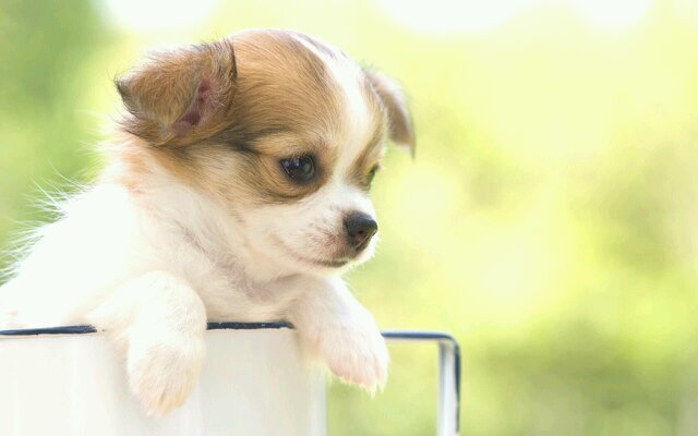 always_567's profile picture. ハリポタ（♡ドラコ♡）/Tom Felton/Ariana Grande/1D/Full House/嵐（特に大野くん）/手越祐也/水樹奈々/世界の果てまでイッテQ/海外大好き!!