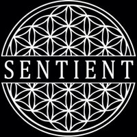 Sentient (@sentient_cloth) Twitter profile photo