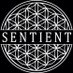 Sentient (@sentient_cloth) Twitter profile photo Sentient (@sentient_cloth) Twitter profile photo