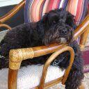 Jane Dykstra - @dykstra_jane - Twitter