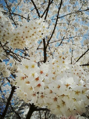 click_scj's profile picture. 하나님께서 진정 원하시는것이 무엇일까요....