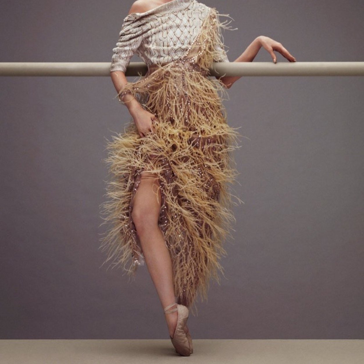 msfitforsociety's profile picture. 