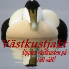 Vi lever för jakten och allt vad de innebär! Vi vill nu erbjuda fler möjligheten att jaga i skärgården på västkusten! Gå in och se om vi har något för dig!