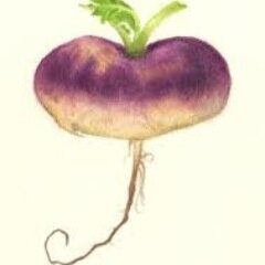 ITURNUPP's profile picture. You have to be here.