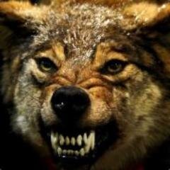 WorgenPictures's profile picture. 