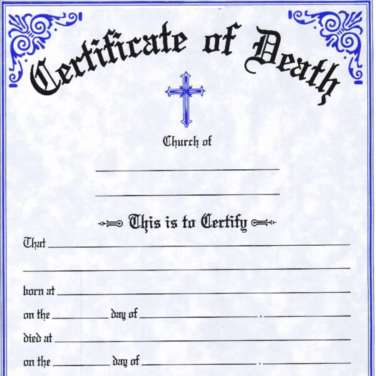 rvkyd's profile picture. 