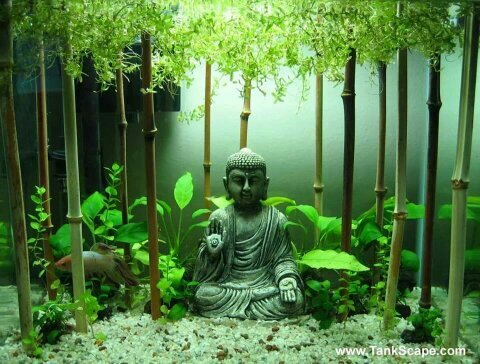 erikat2003's profile picture. 