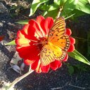 Ryan Travis - @Buddingyogi - Twitter