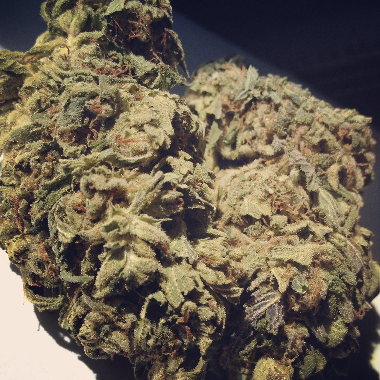 Staying high and true in the 802
