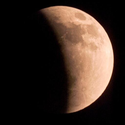 MacTVMan's profile picture. 