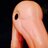 Thefuqisliz's profile image